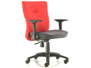 �����T��CG-C293E_�k���Ҿ�_(d��)�����T��_�k����