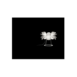 Infiore�F(xi��n)���������_��