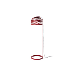 �ʵ���؟� CG-R016