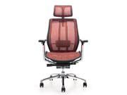 �W(w��ng)������� CG-988